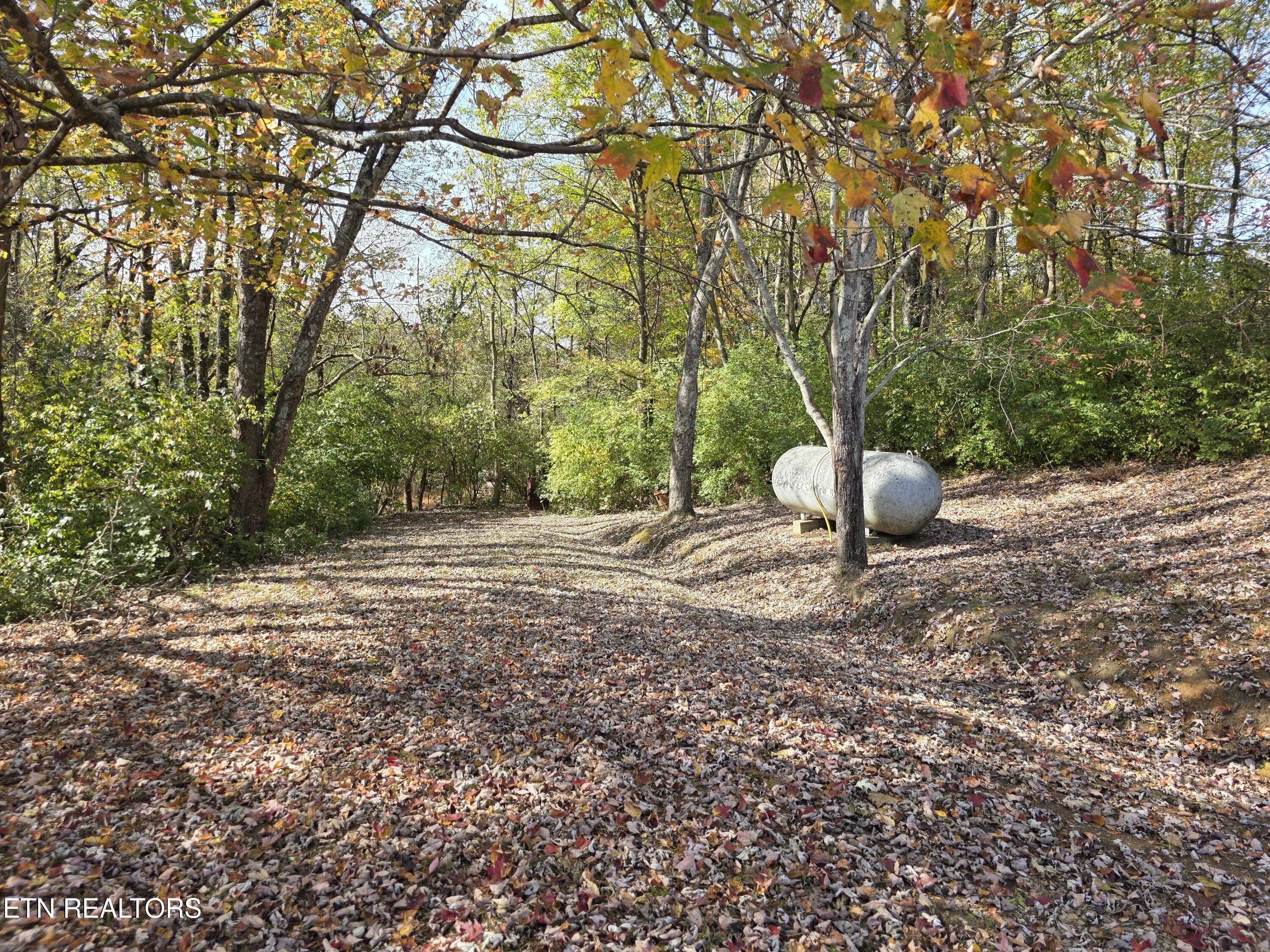 385 Shelton Road Newport TN 37821