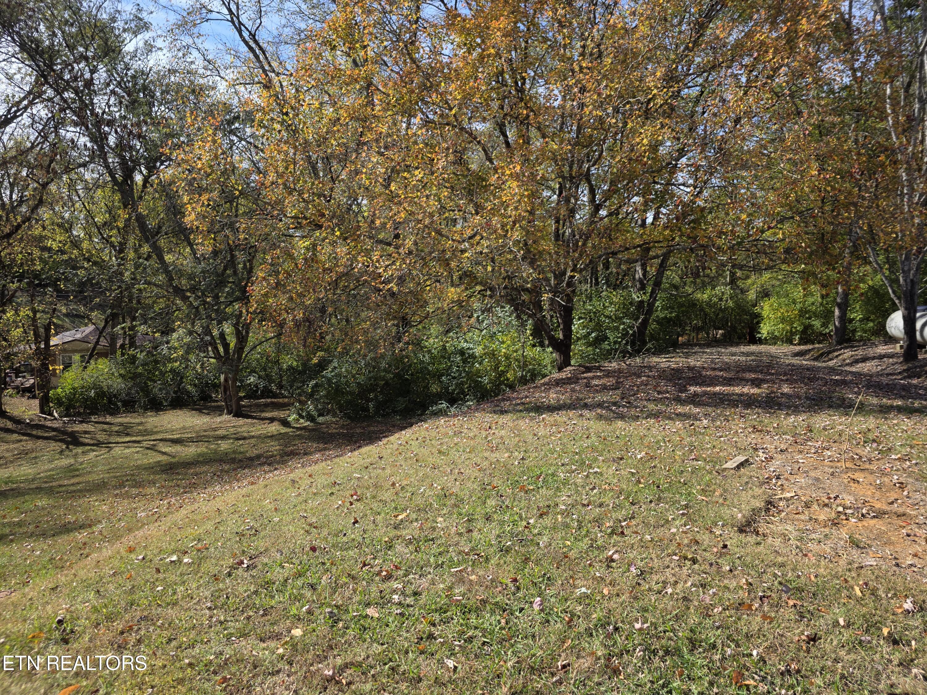 385 Shelton Road Newport TN 37821