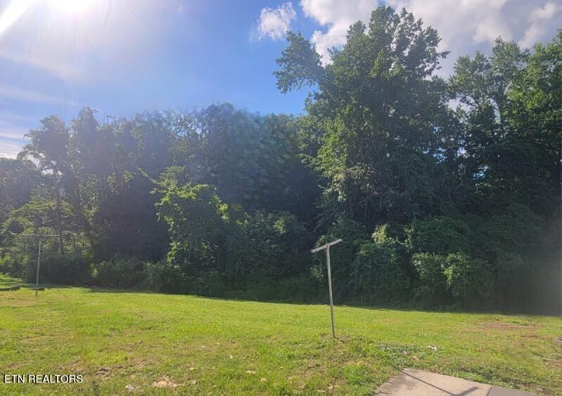 942 Mount View Road Robbins TN 37852