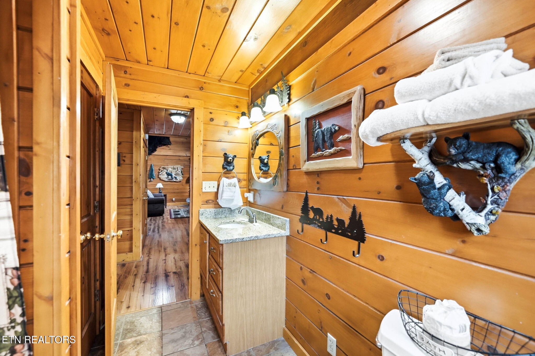 3529 Peggy Lane Pigeon Forge TN 37863
