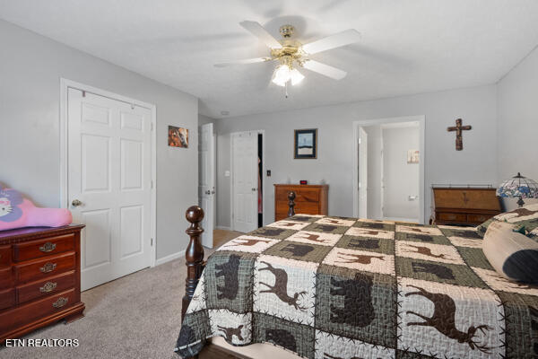 5110 Morganton Road Greenback TN 37742