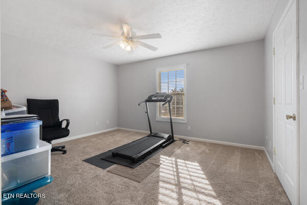 5110 Morganton Road Greenback TN 37742