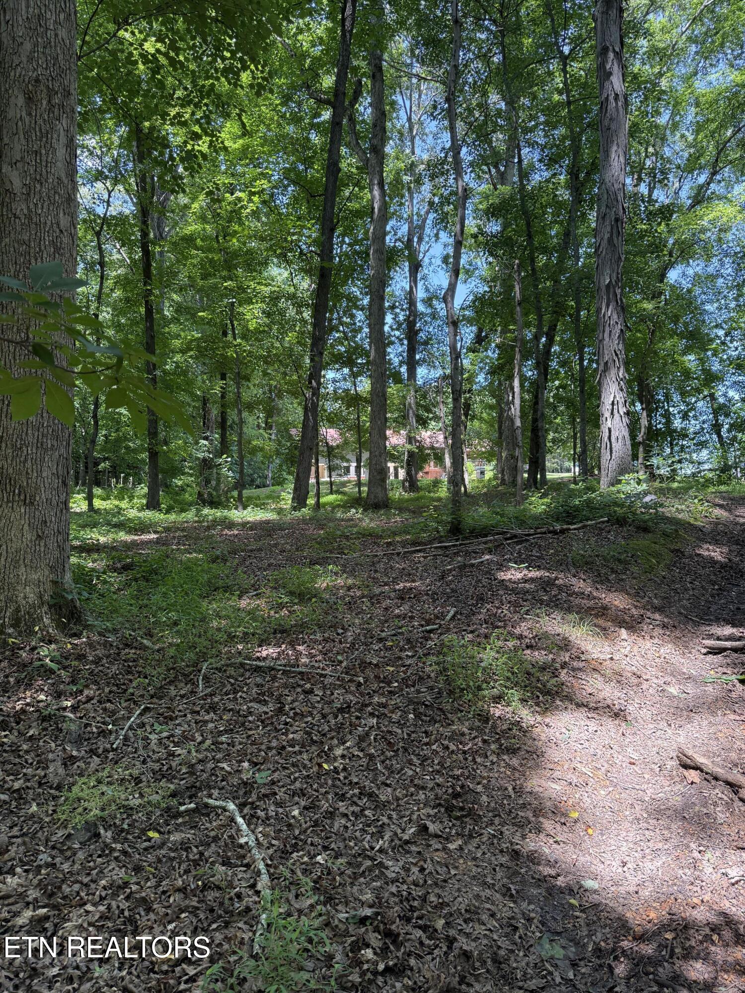 422 & 426 County Road 728 (58.5 Acres) Riceville TN 37370
