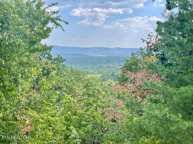 25 Shawnbury Point Crossville TN 38558