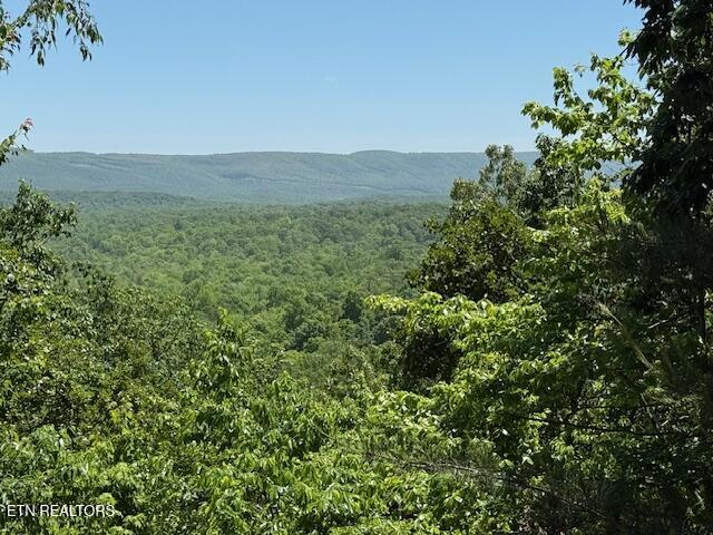 25 Shawnbury Point Crossville TN 38558