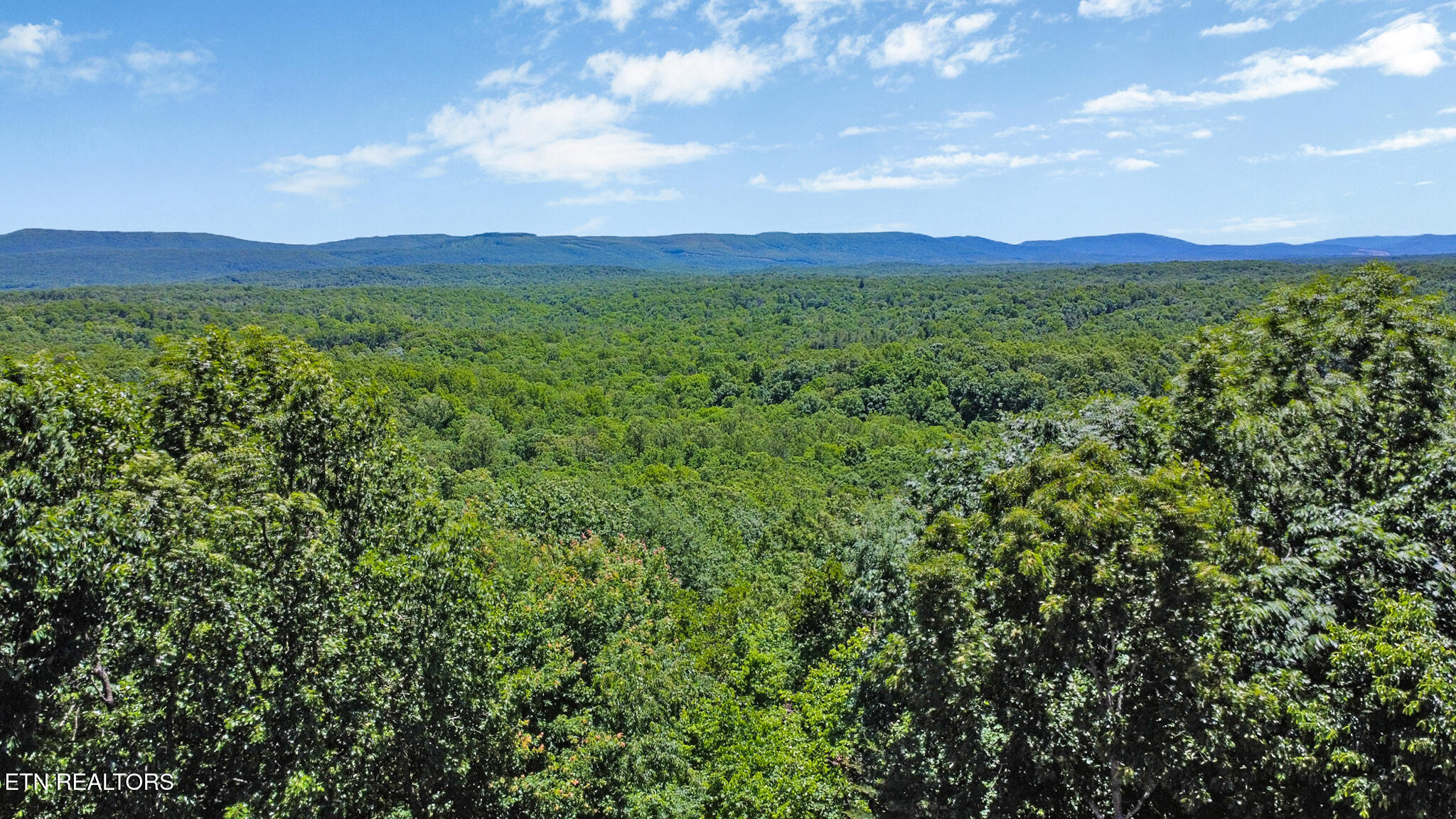 25 Shawnbury Point Crossville TN 38558
