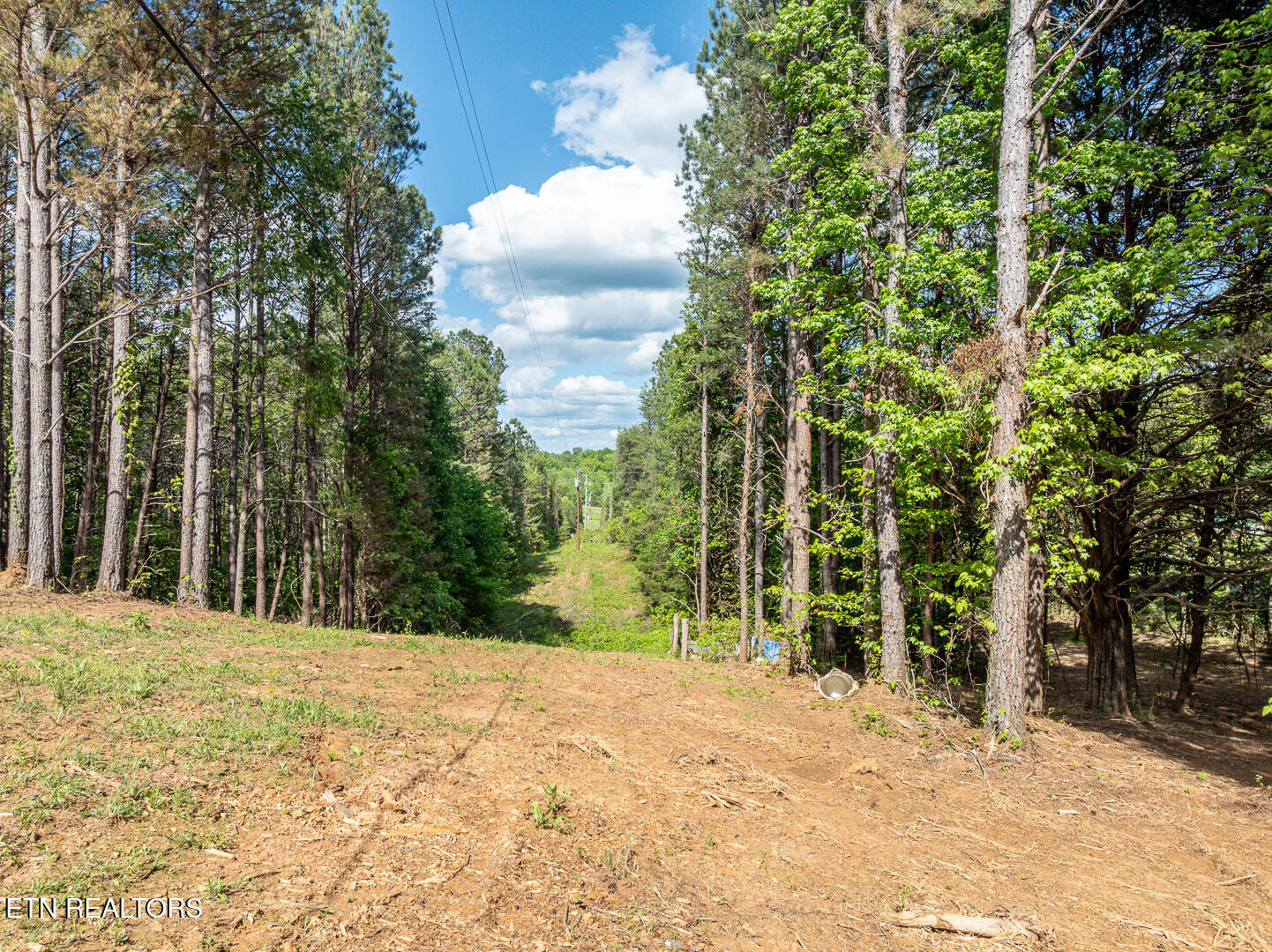 171 Jd Farm Road Tellico Plains TN 37385