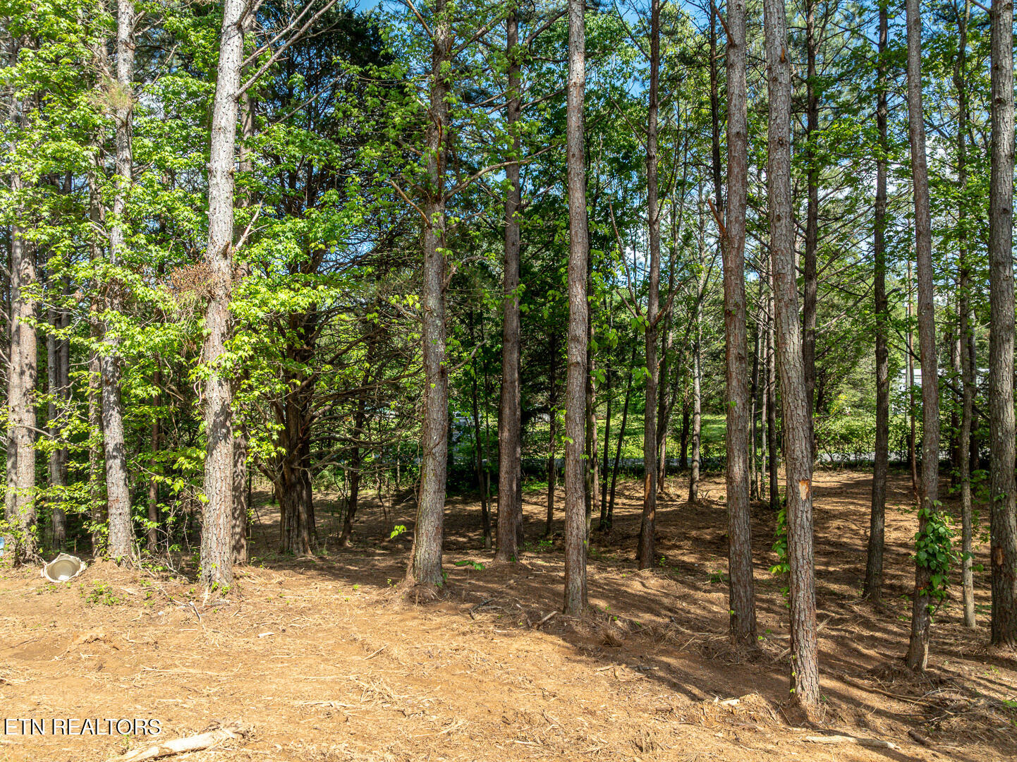 171 Jd Farm Road Tellico Plains TN 37385
