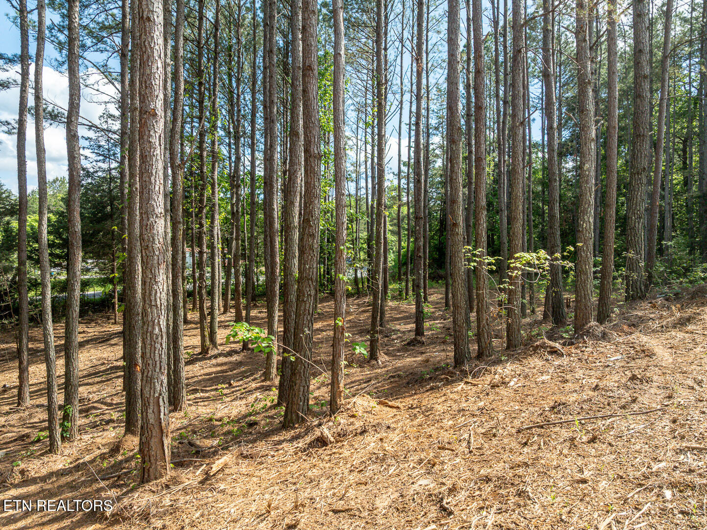 171 Jd Farm Road Tellico Plains TN 37385