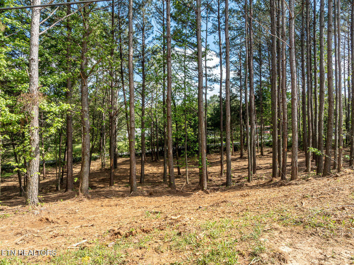 171 Jd Farm Road Tellico Plains TN 37385