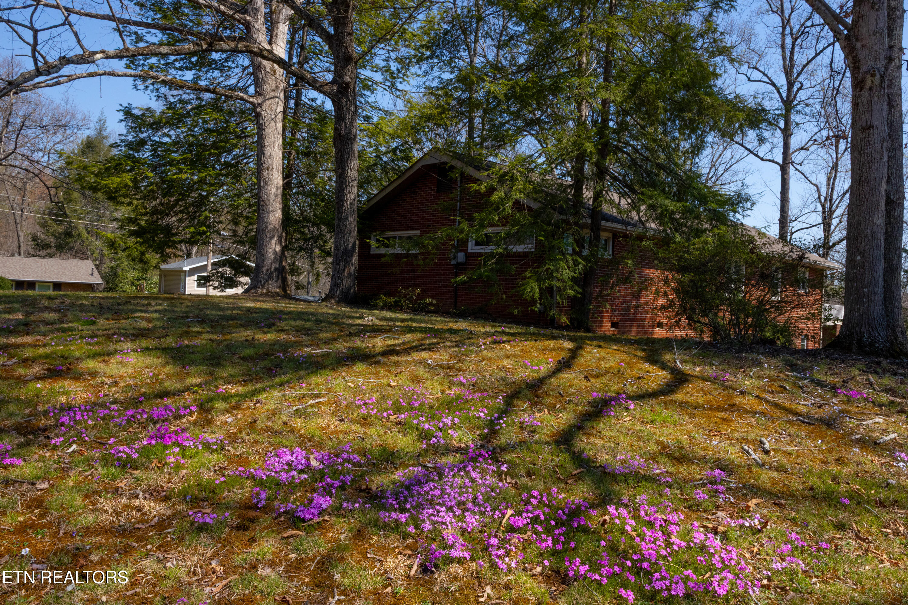 1716 Doningham Drive Knoxville TN 37918