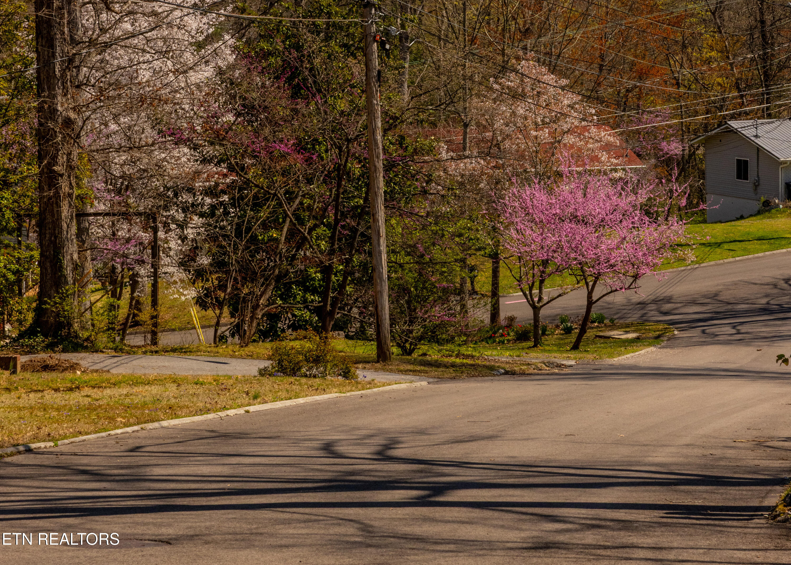 1716 Doningham Drive Knoxville TN 37918