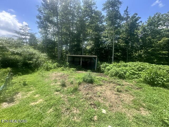 30195 White Oak Road Crawford TN 38554