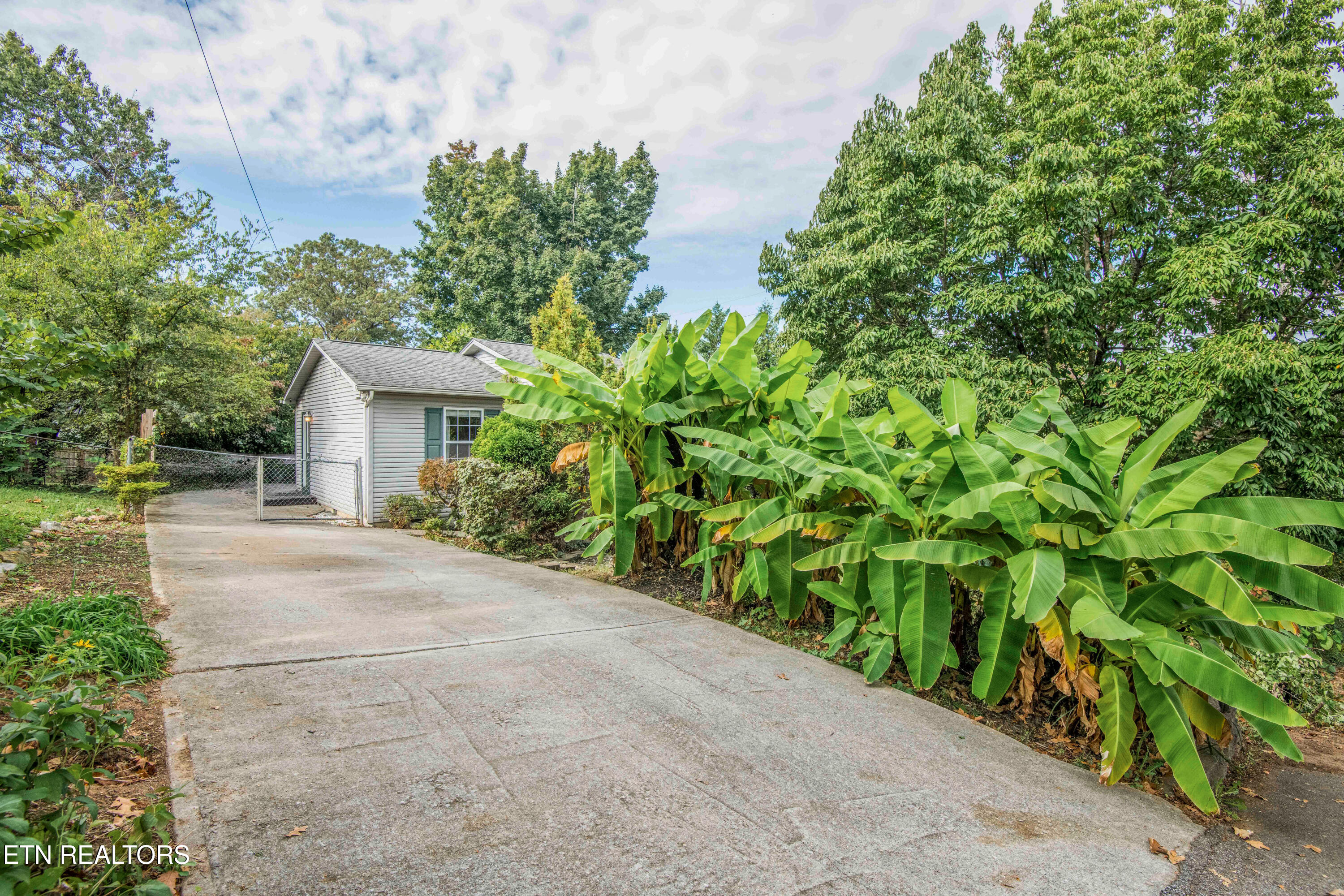 1427 Mcmillan Street Knoxville TN 37917
