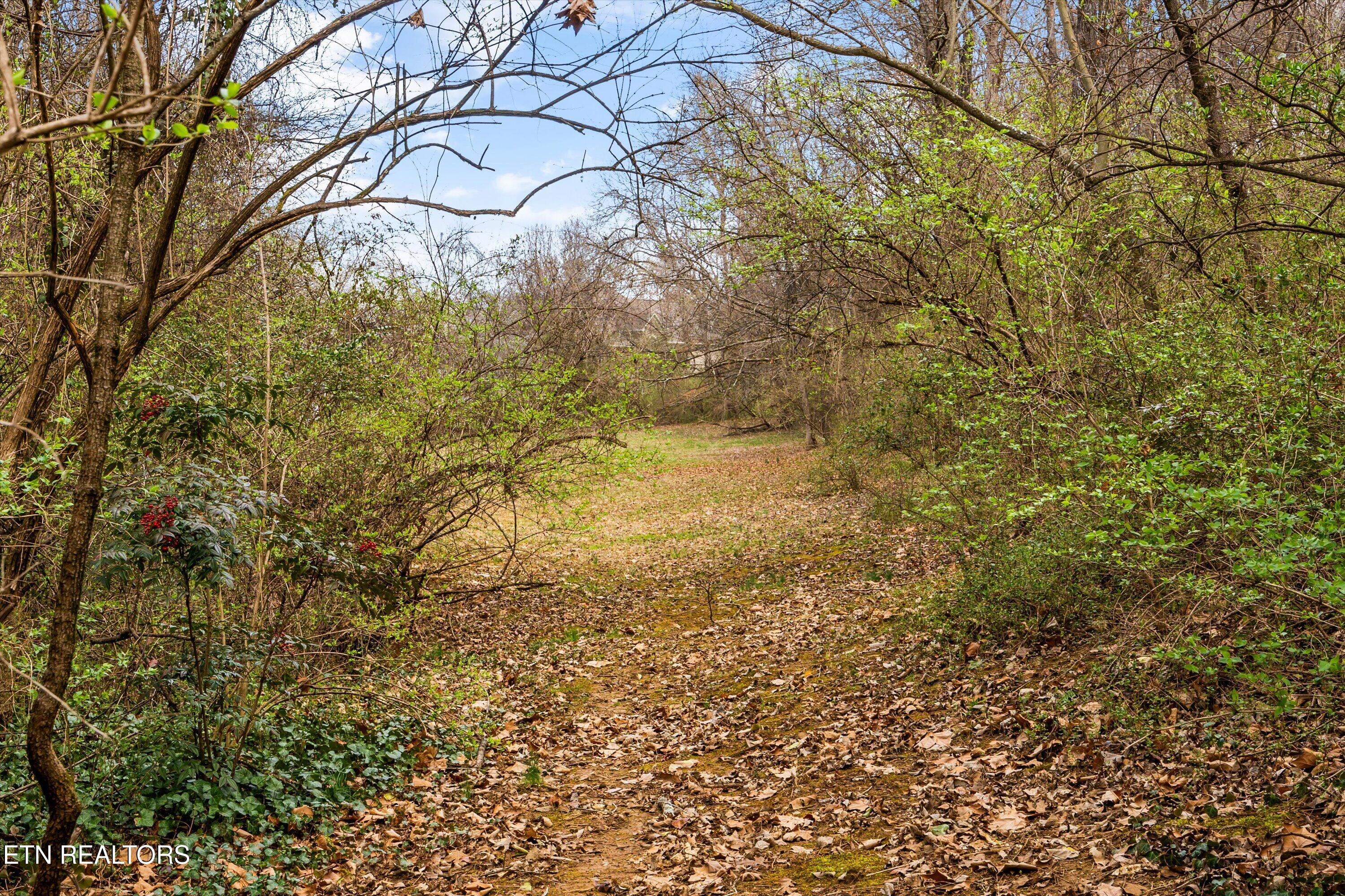 3031 Shadow Brook Drive Maryville TN 37803