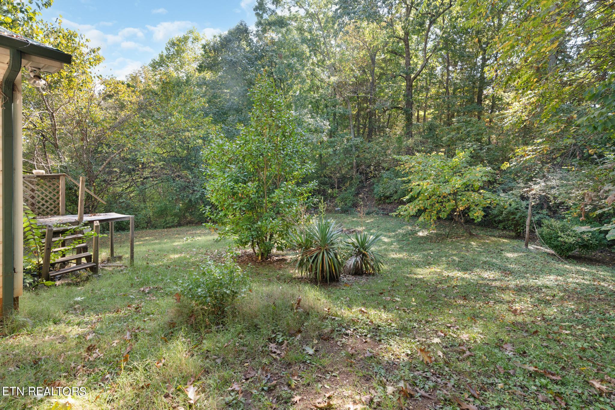 120 Henry Haynes Road Knoxville TN 37920