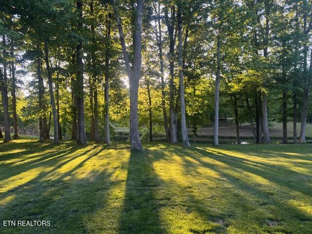 1018 Bunker Ridge Trail Soddy-daisy TN 37379