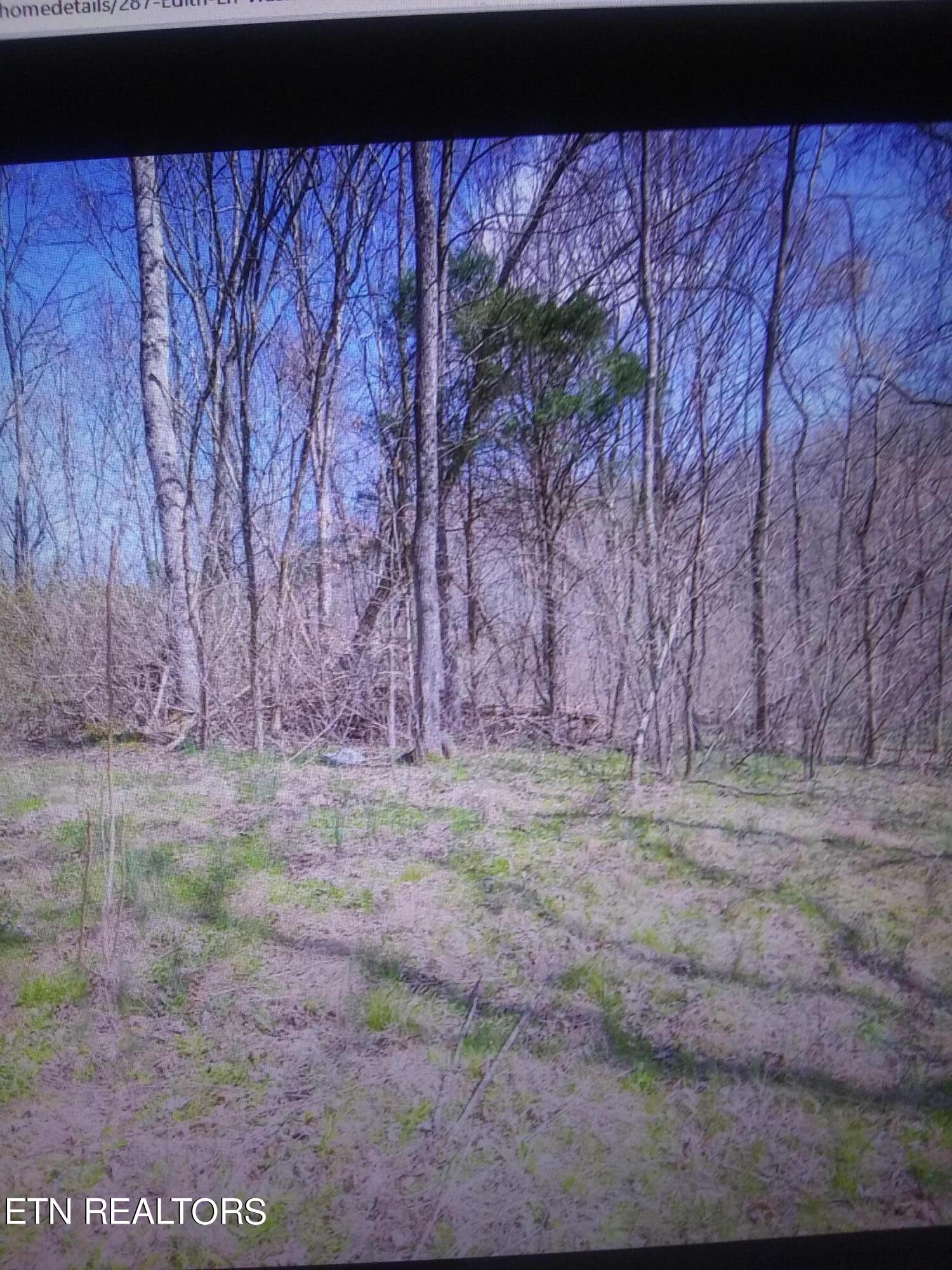 287 Edith Lane Washburn TN 37888