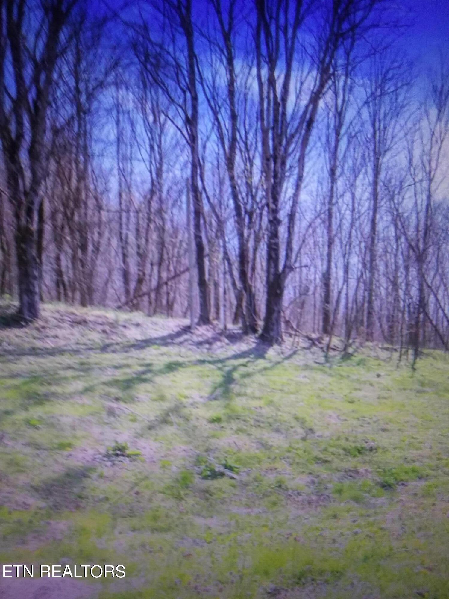 287 Edith Lane Washburn TN 37888