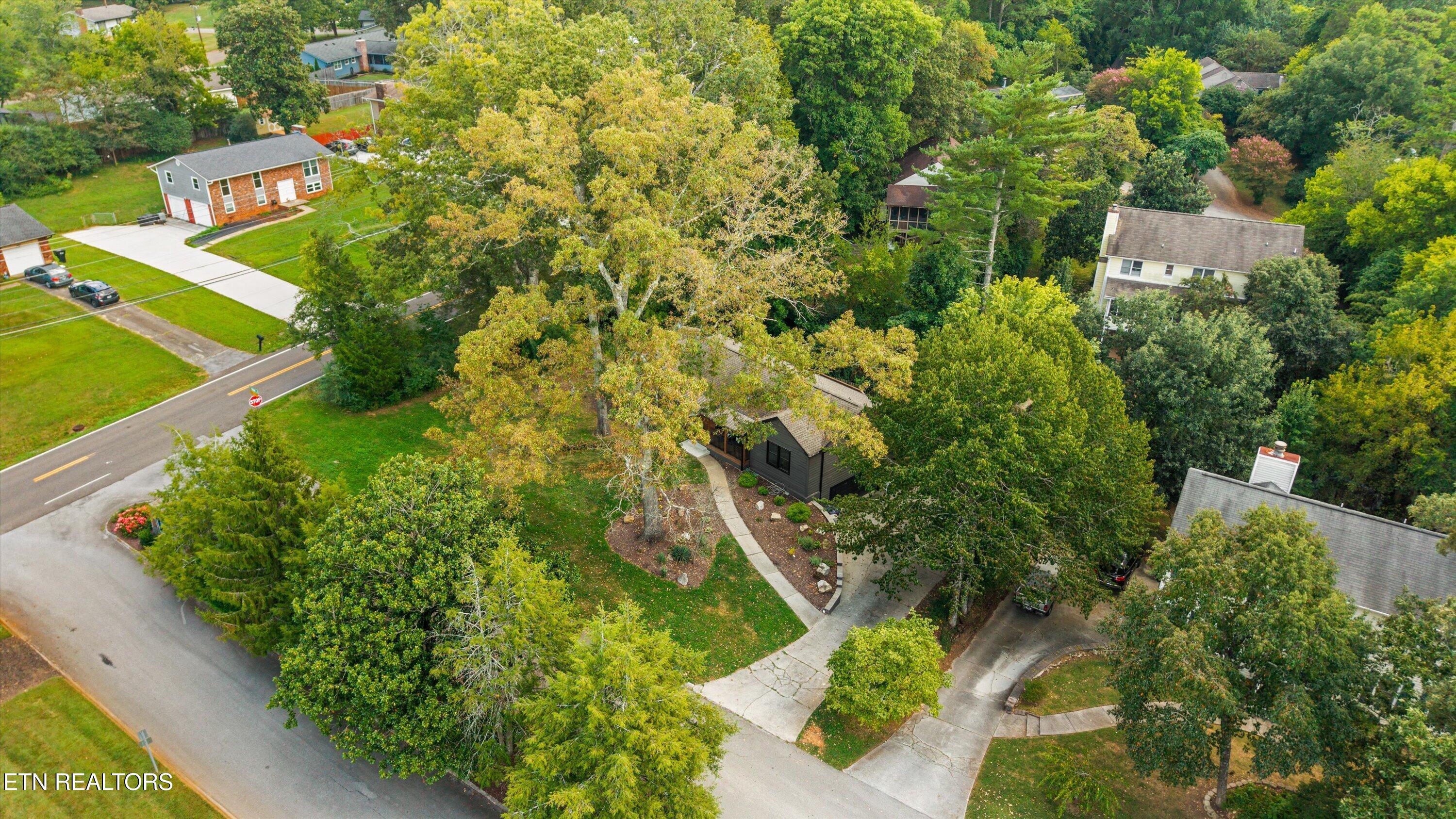 8400 Woodbrook Drive Knoxville TN 37919
