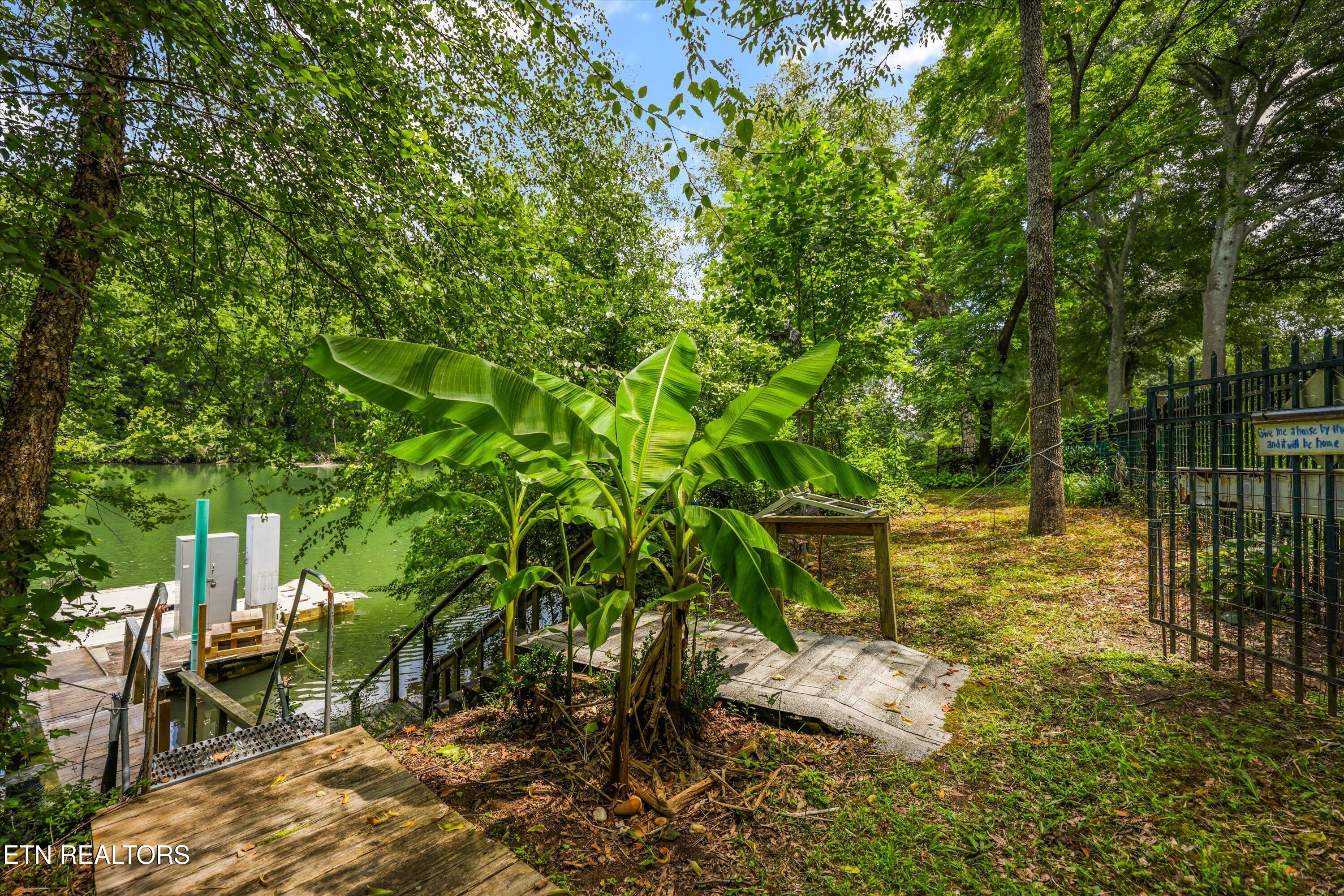 215 NE River Bend Trail Charleston TN 37310