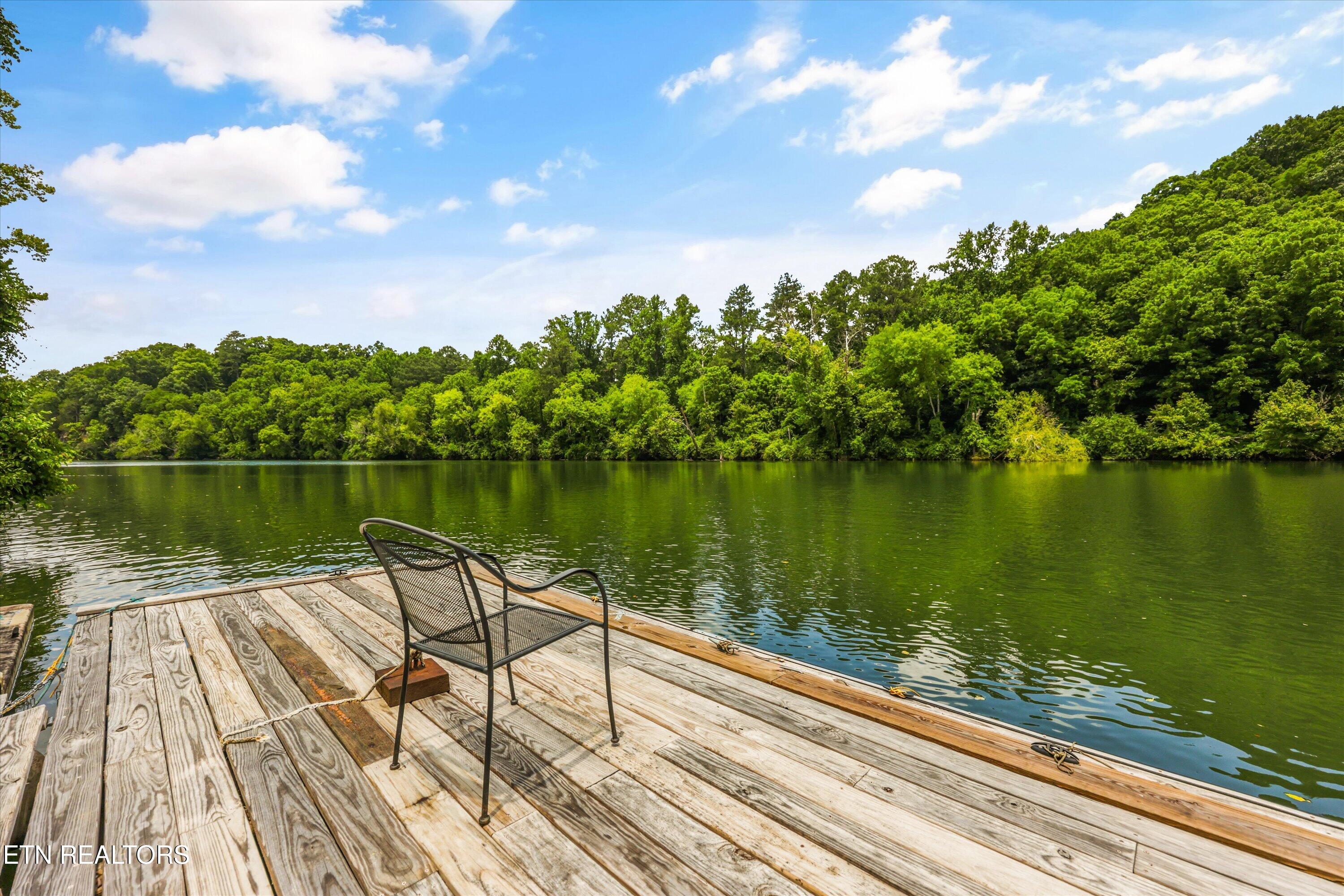 215 NE River Bend Trail Charleston TN 37310