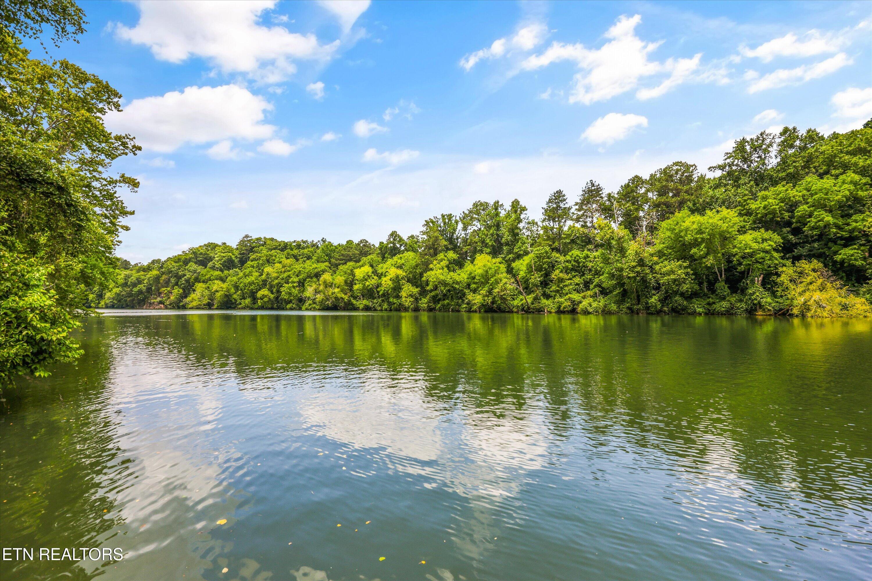 215 NE River Bend Trail Charleston TN 37310
