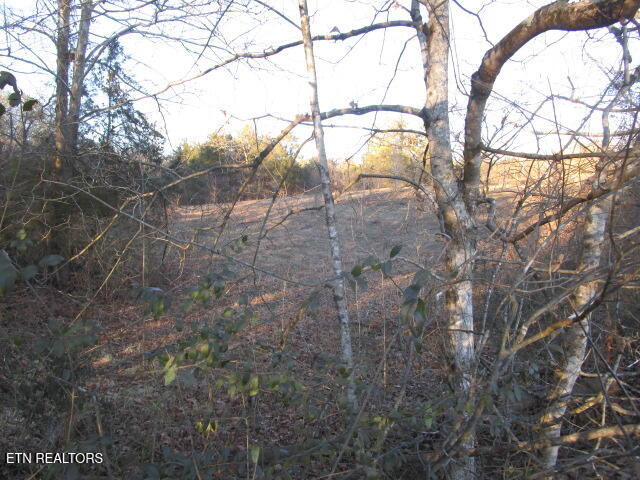 430 Basswood Lane Kodak TN 37764
