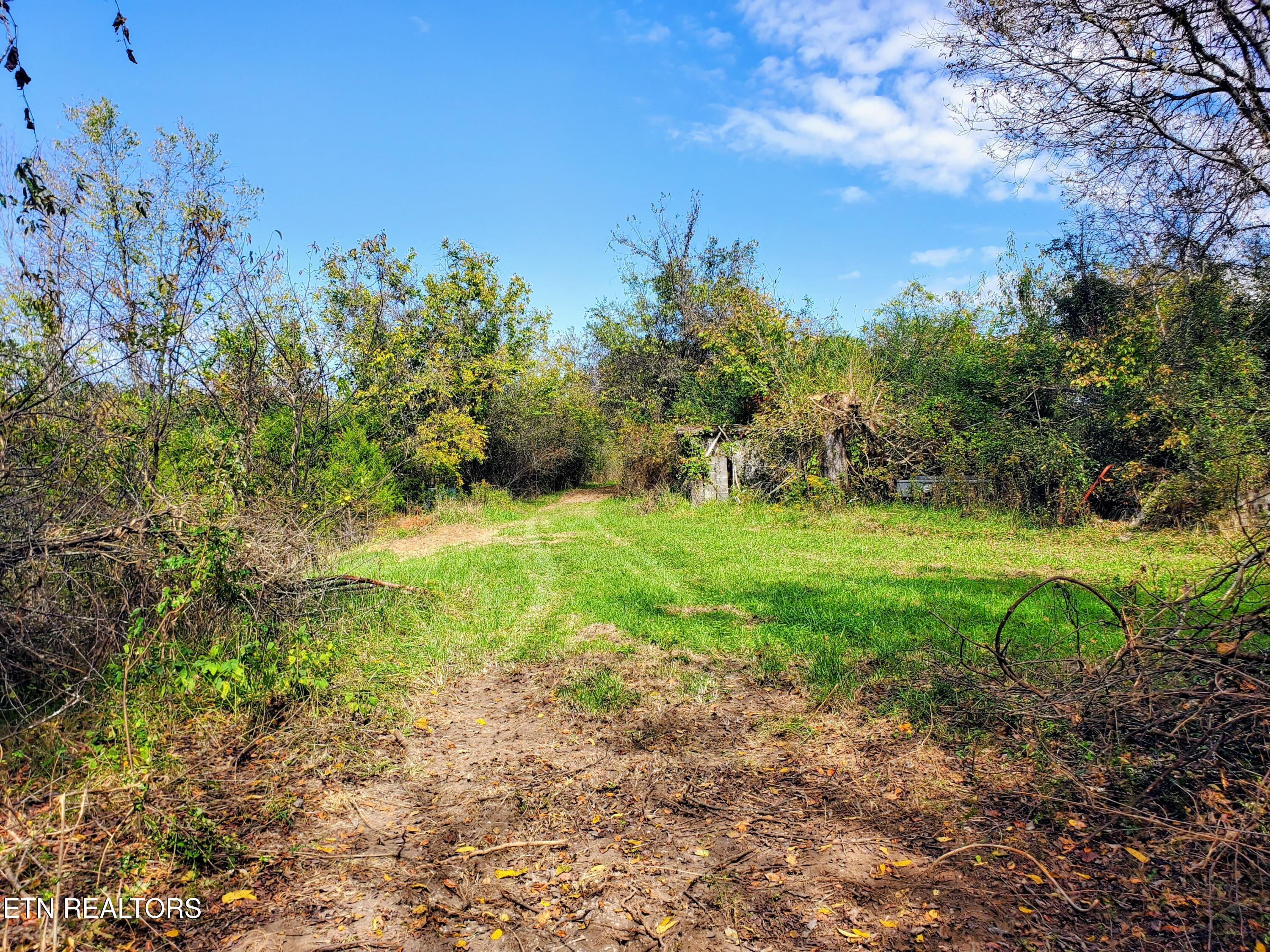 430 Basswood Lane Kodak TN 37764