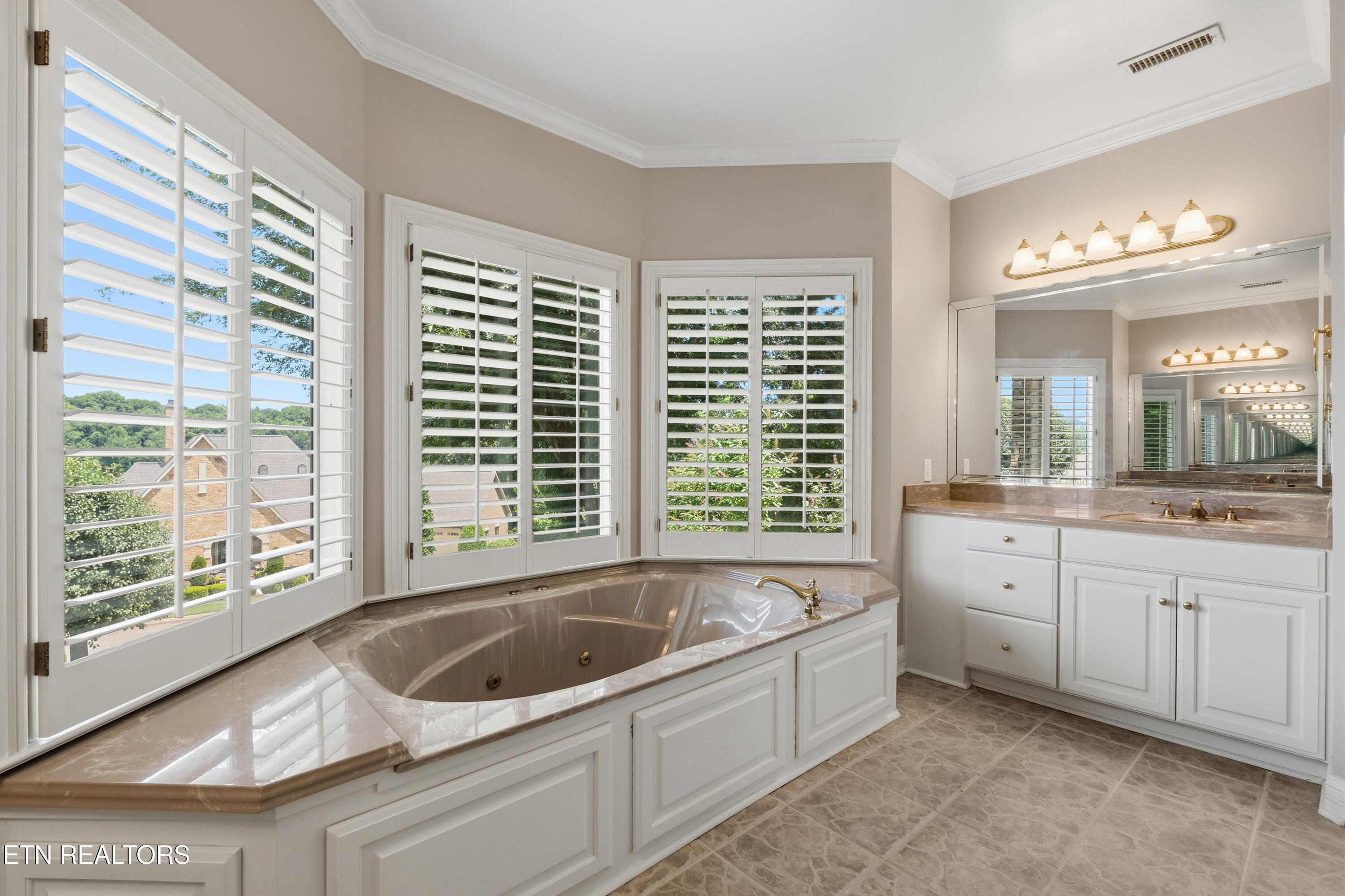 310 Pineberry Drive Vonore TN 37885