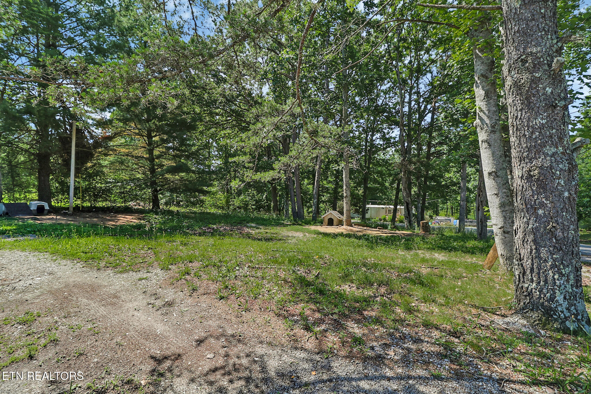 730 Iris Avenue Jamestown TN 38556