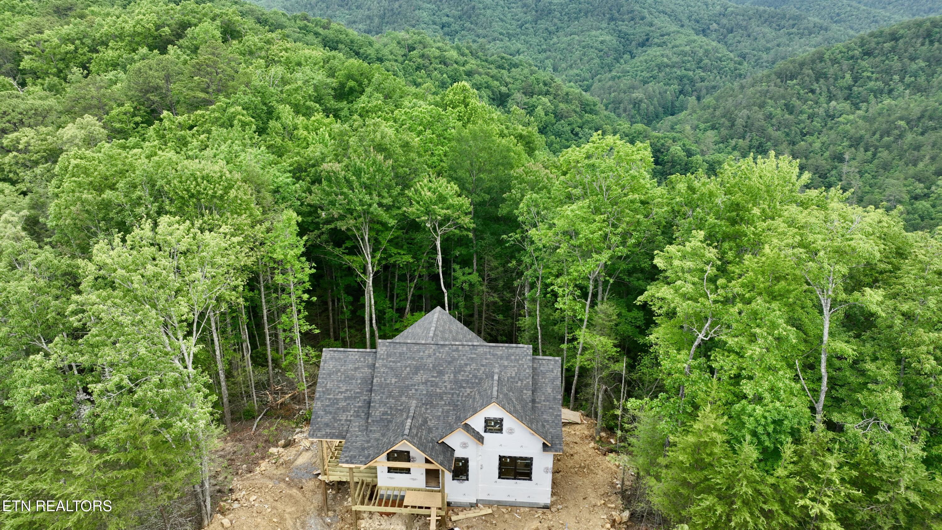 438 Hawken Drive Walland TN 37886