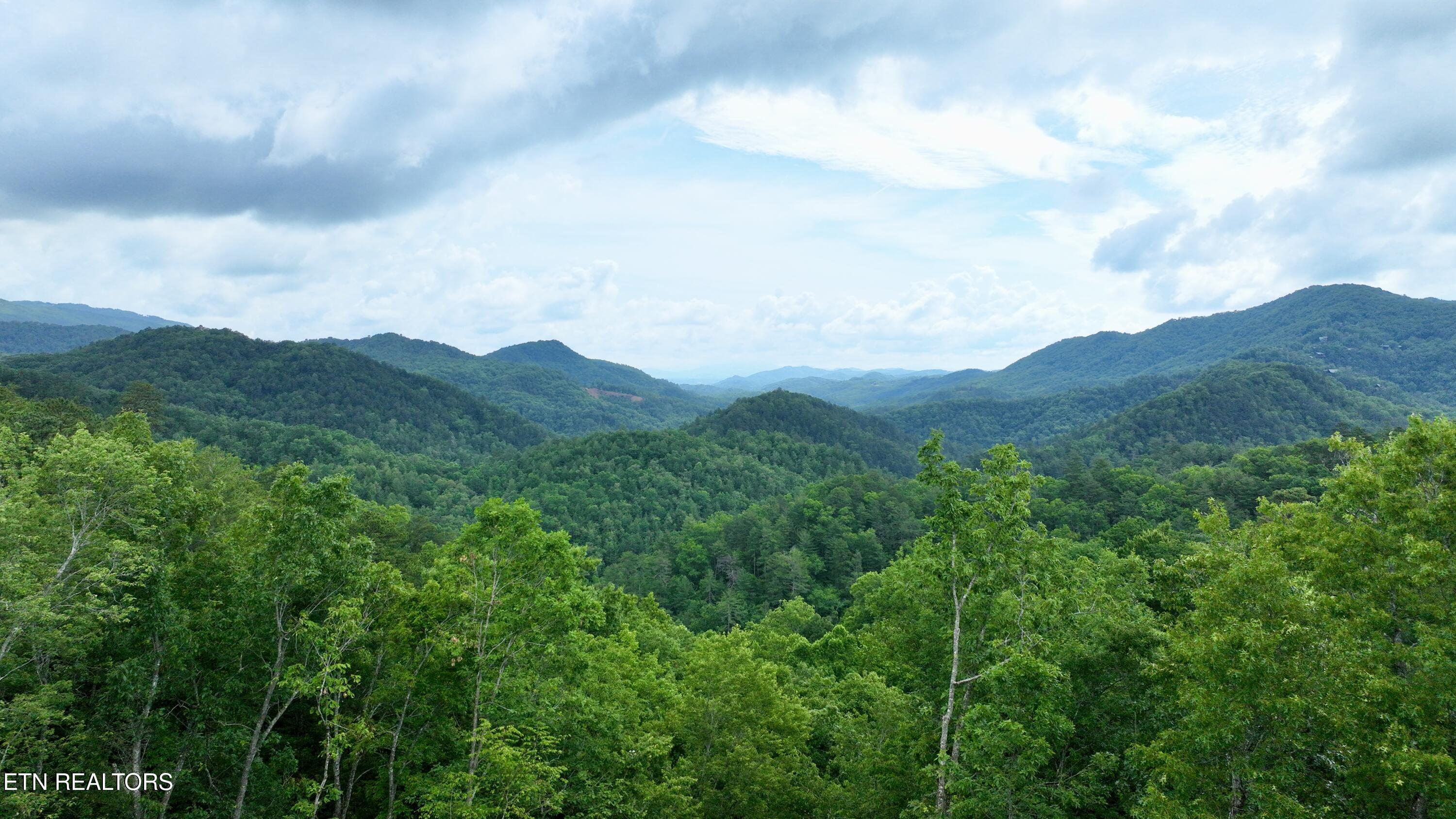 438 Hawken Drive Walland TN 37886