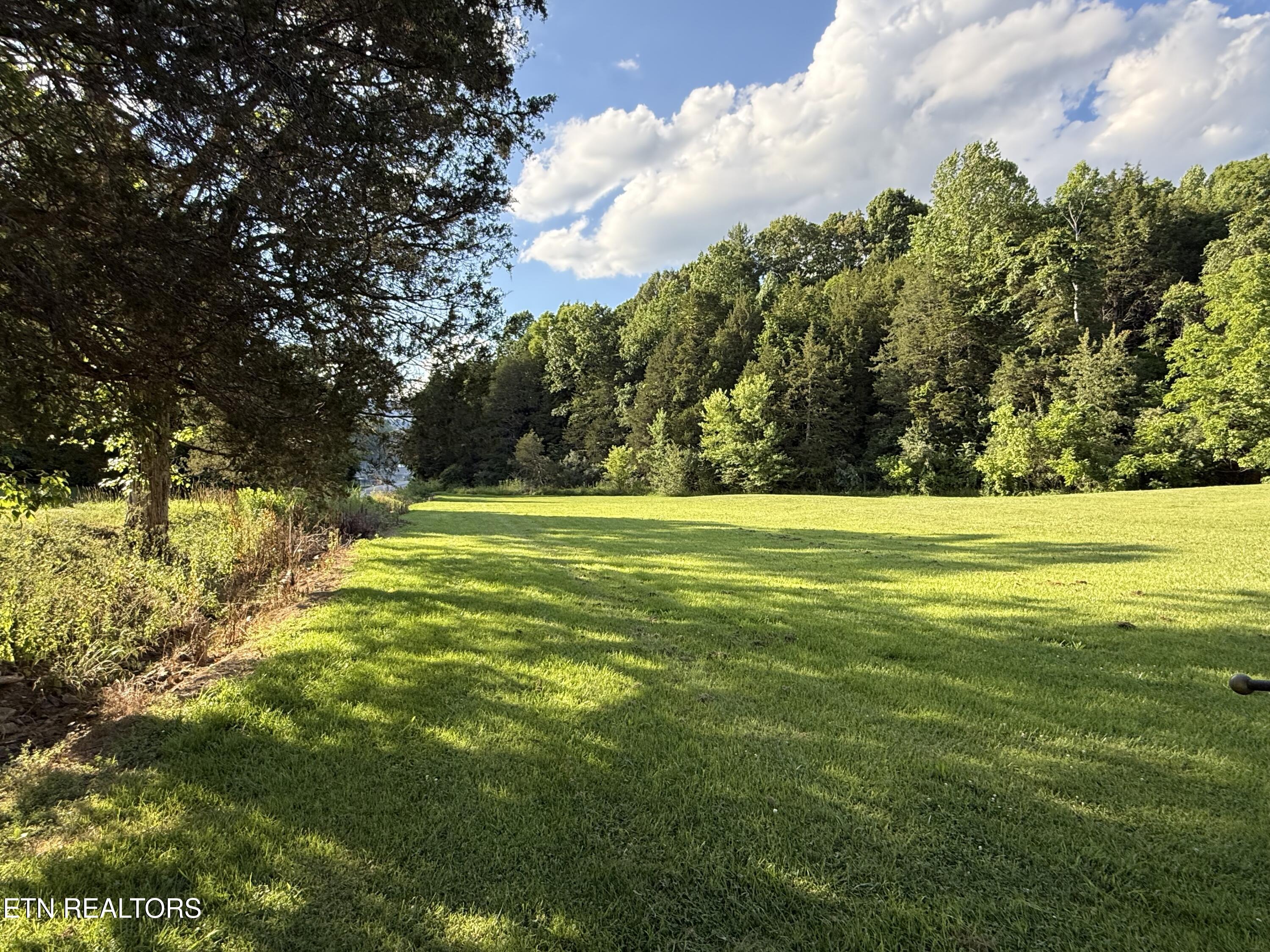 176 Brunswick Drive Harrogate TN 37752