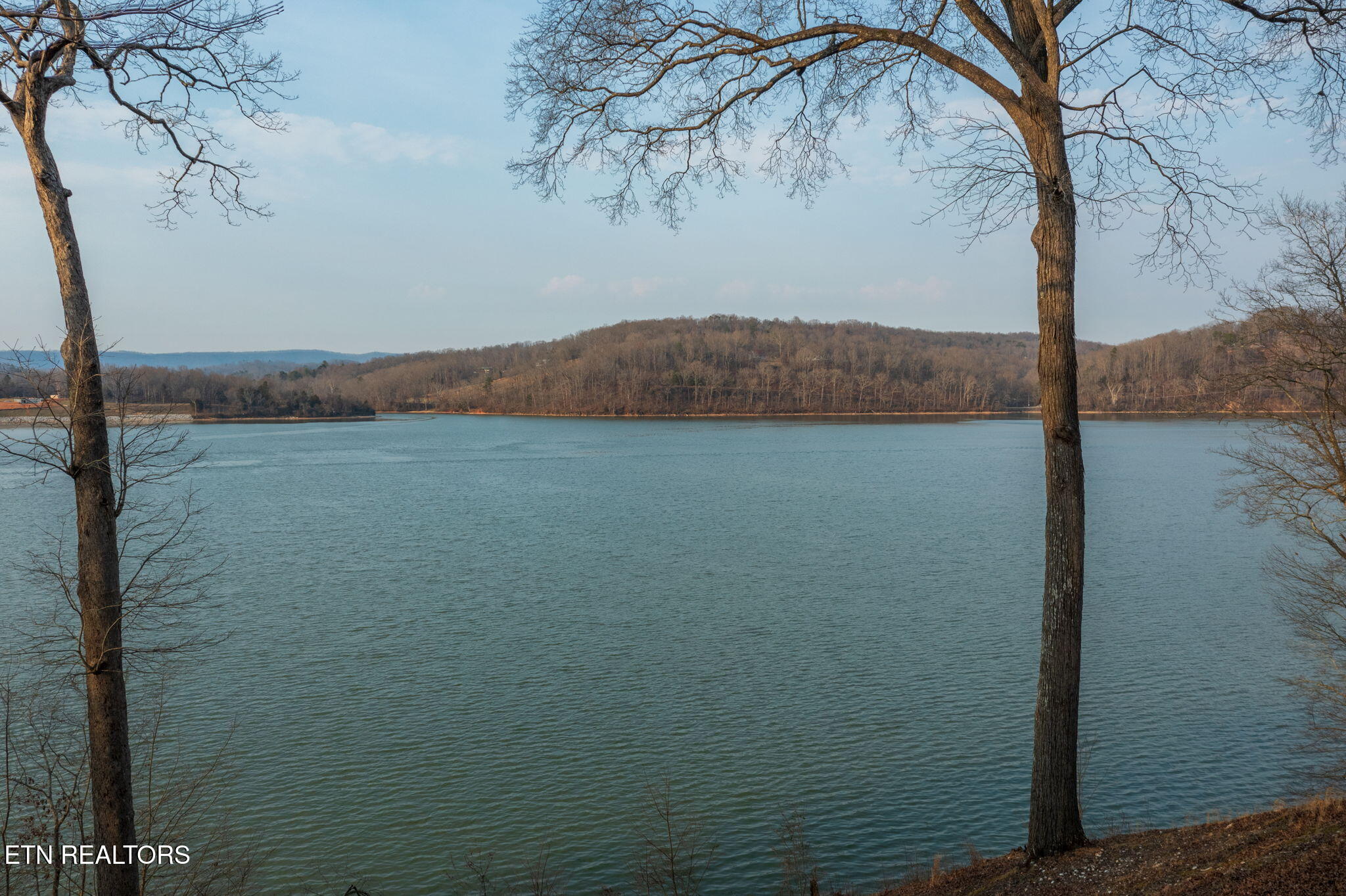157 Tanglewood Lane Kingston TN 37763