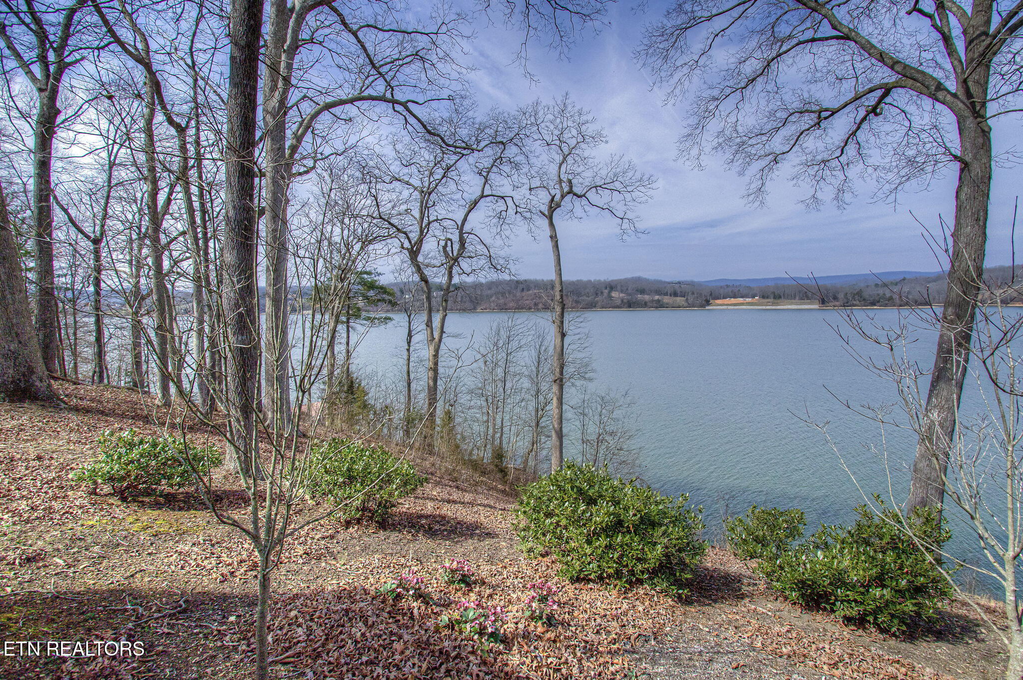 157 Tanglewood Lane Kingston TN 37763