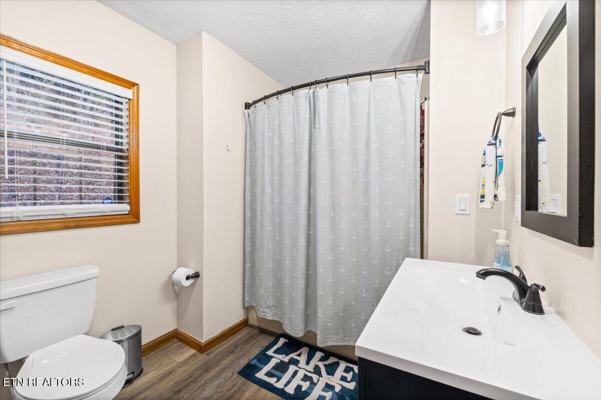 131 Phoenix Lane Speedwell TN 37870