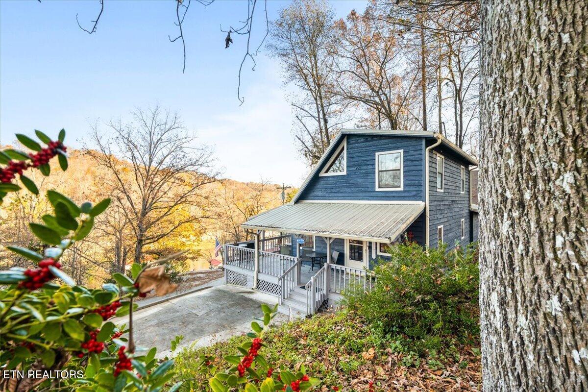 131 Phoenix Lane Speedwell TN 37870