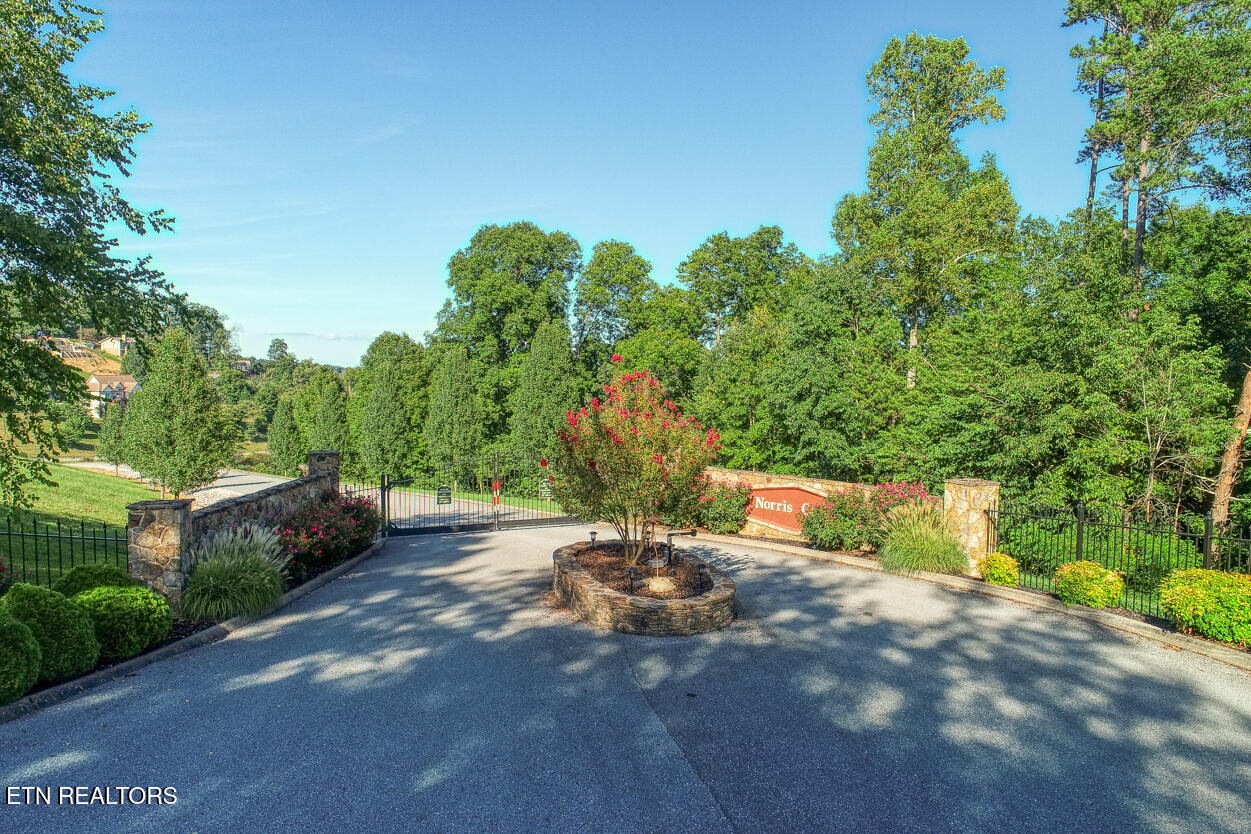 156 Smokeys Point Lafollette TN 37766