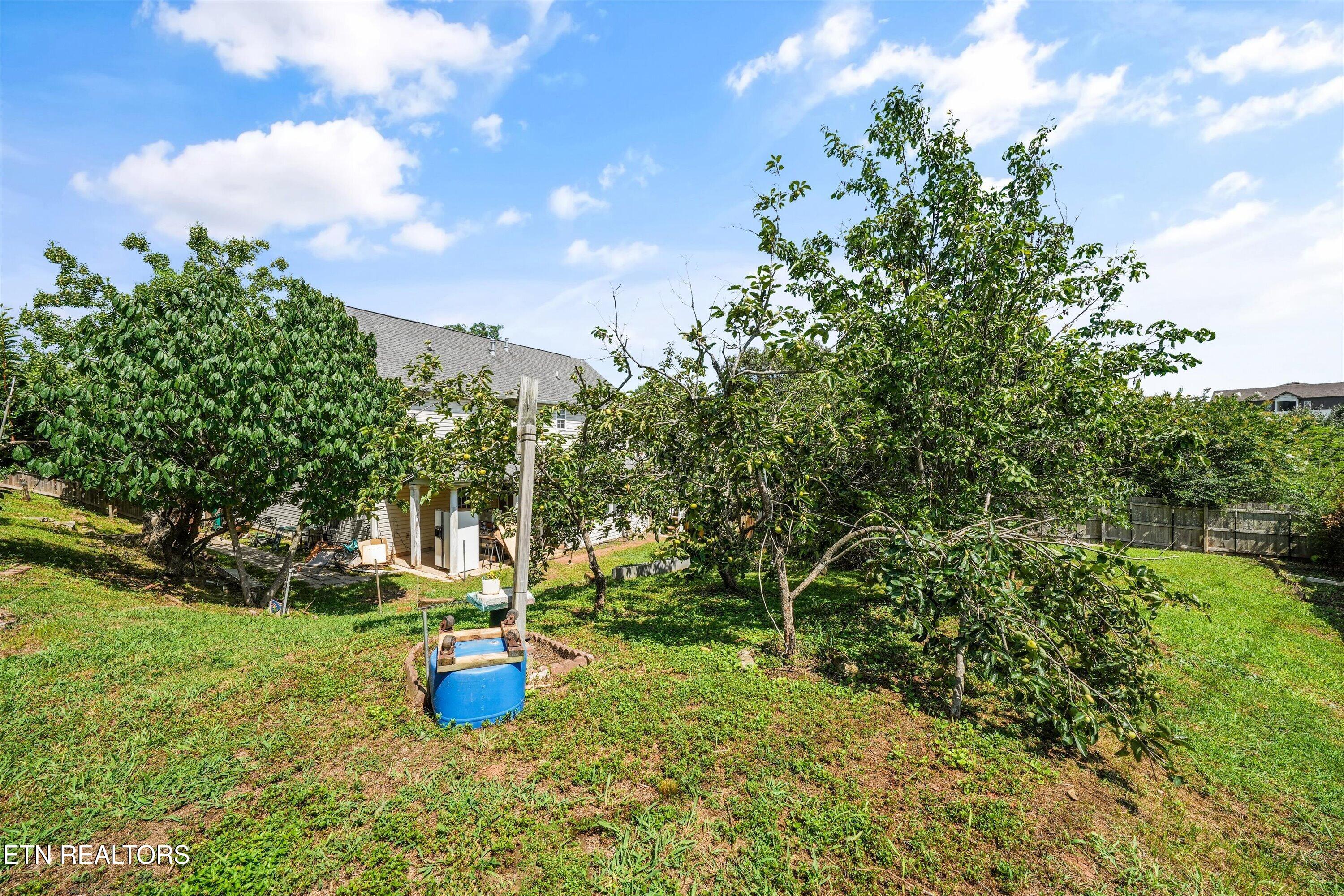 1227 Oak Haven Road Knoxville TN 37932