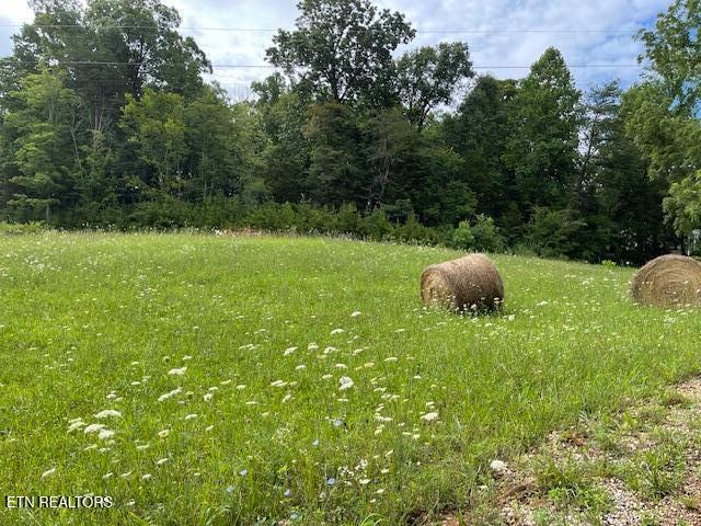 361 Walnut Creek Road White Pine TN 37890