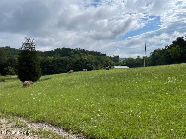 361 Walnut Creek Road White Pine TN 37890
