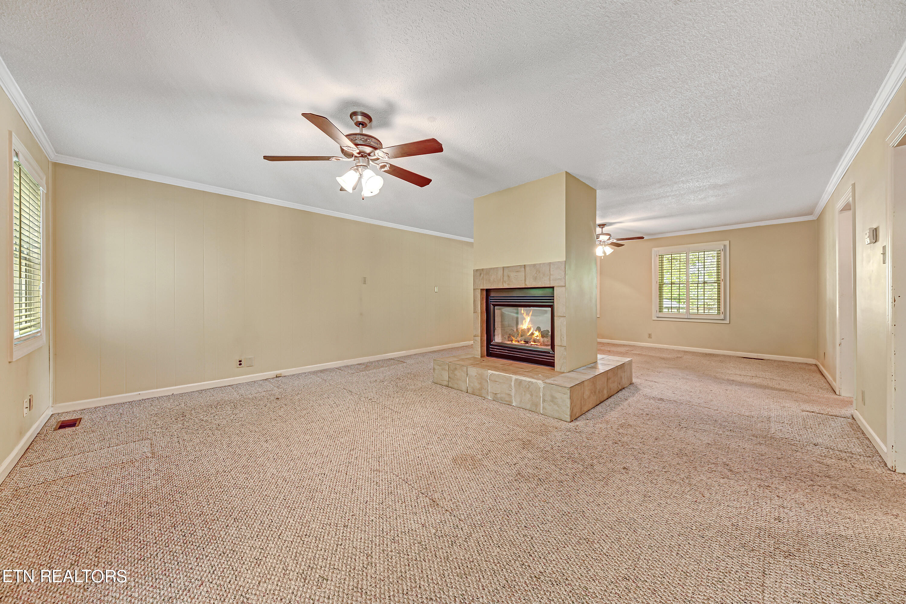 716 E Fox Den Drive Knoxville TN 37934