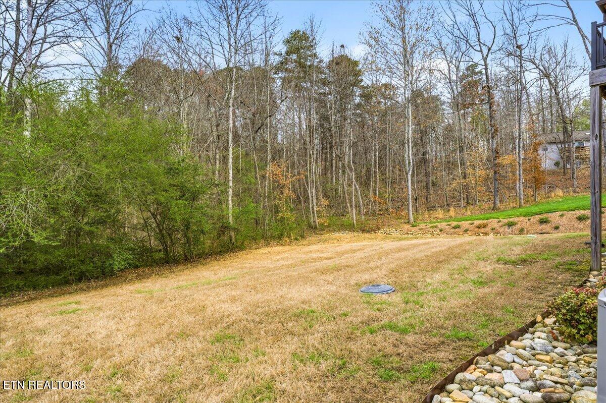 107 Daleyuhski Way Loudon TN 37774