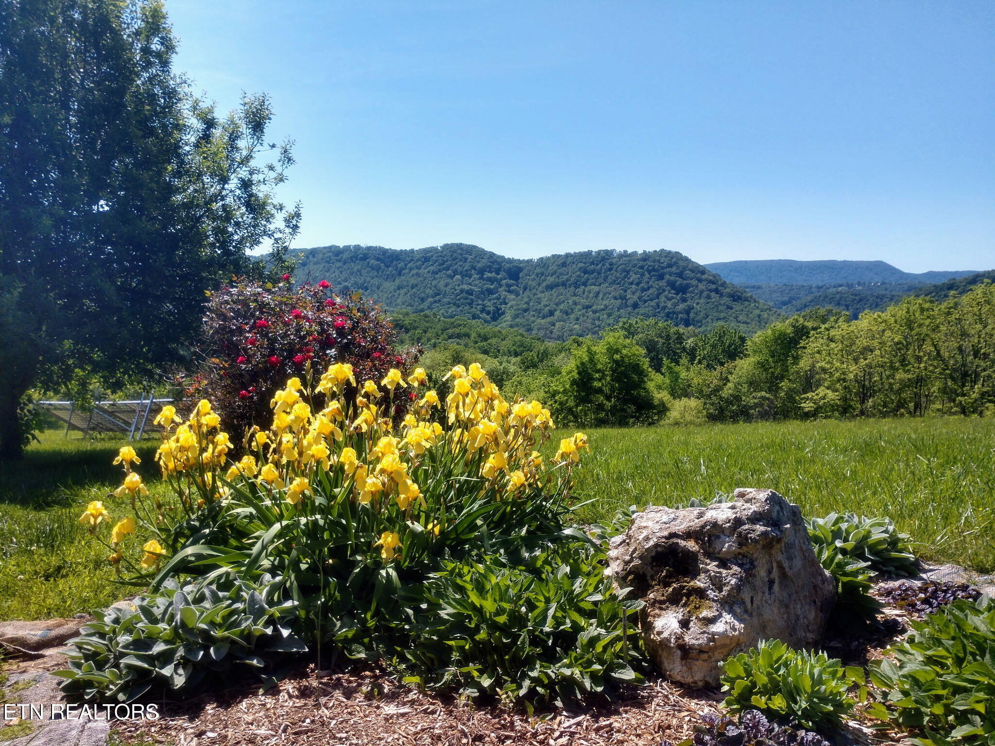 891 New Harvest Road Washburn TN 37888