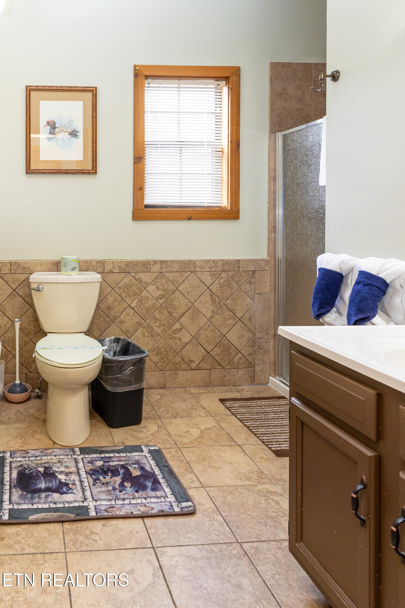 1107 Fox Run Gatlinburg TN 37738