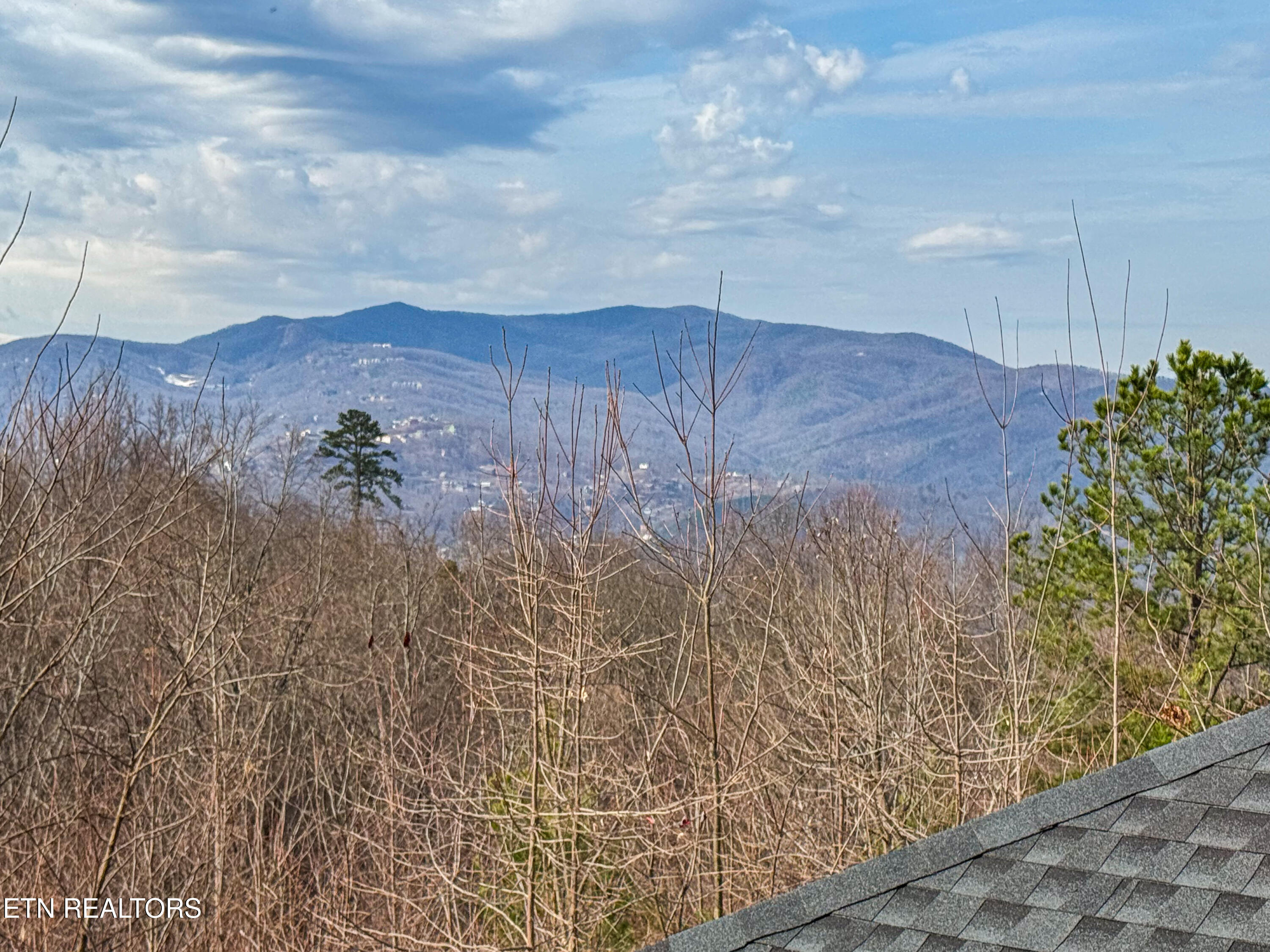 1107 Fox Run Gatlinburg TN 37738