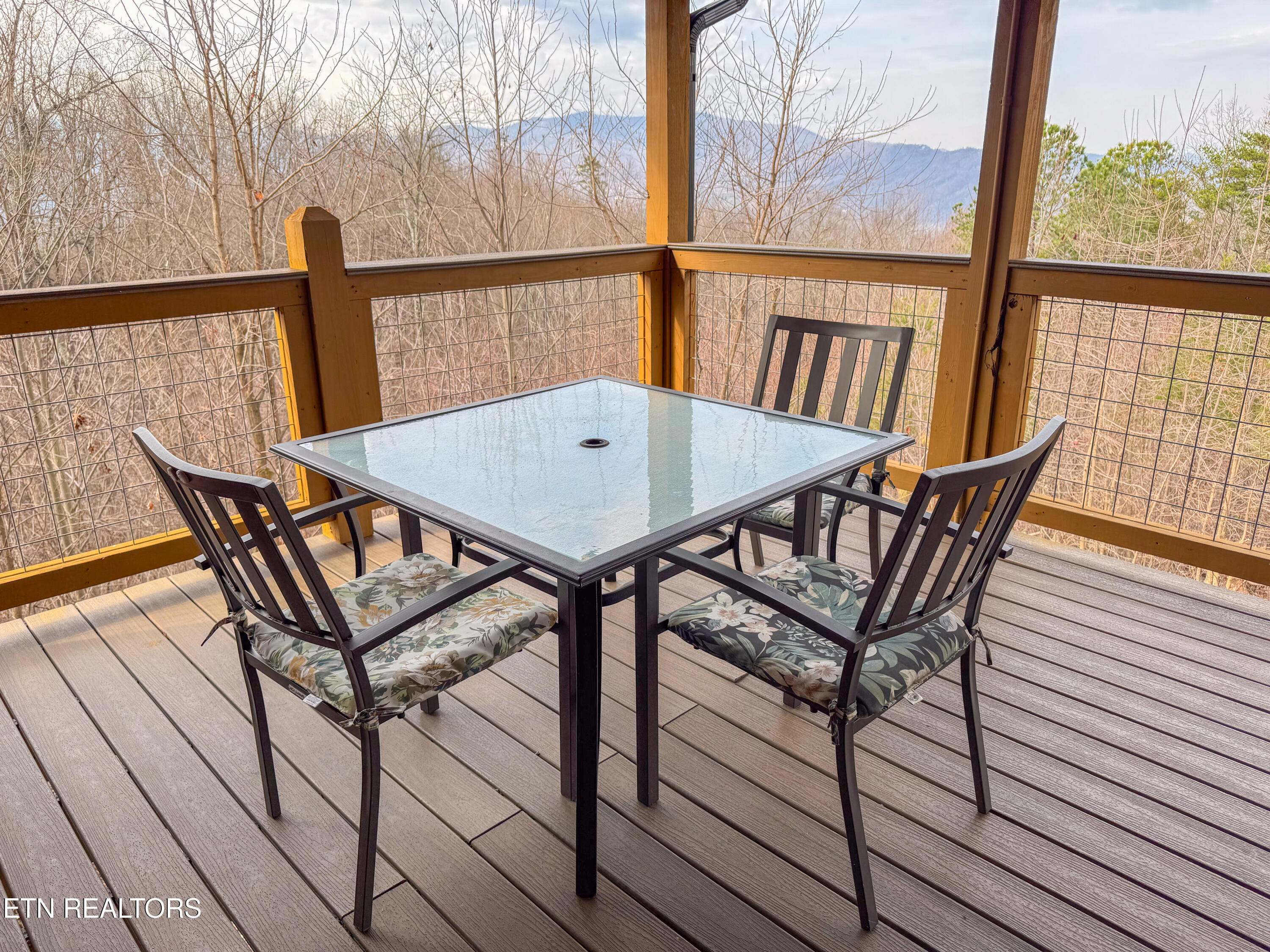 1107 Fox Run Gatlinburg TN 37738
