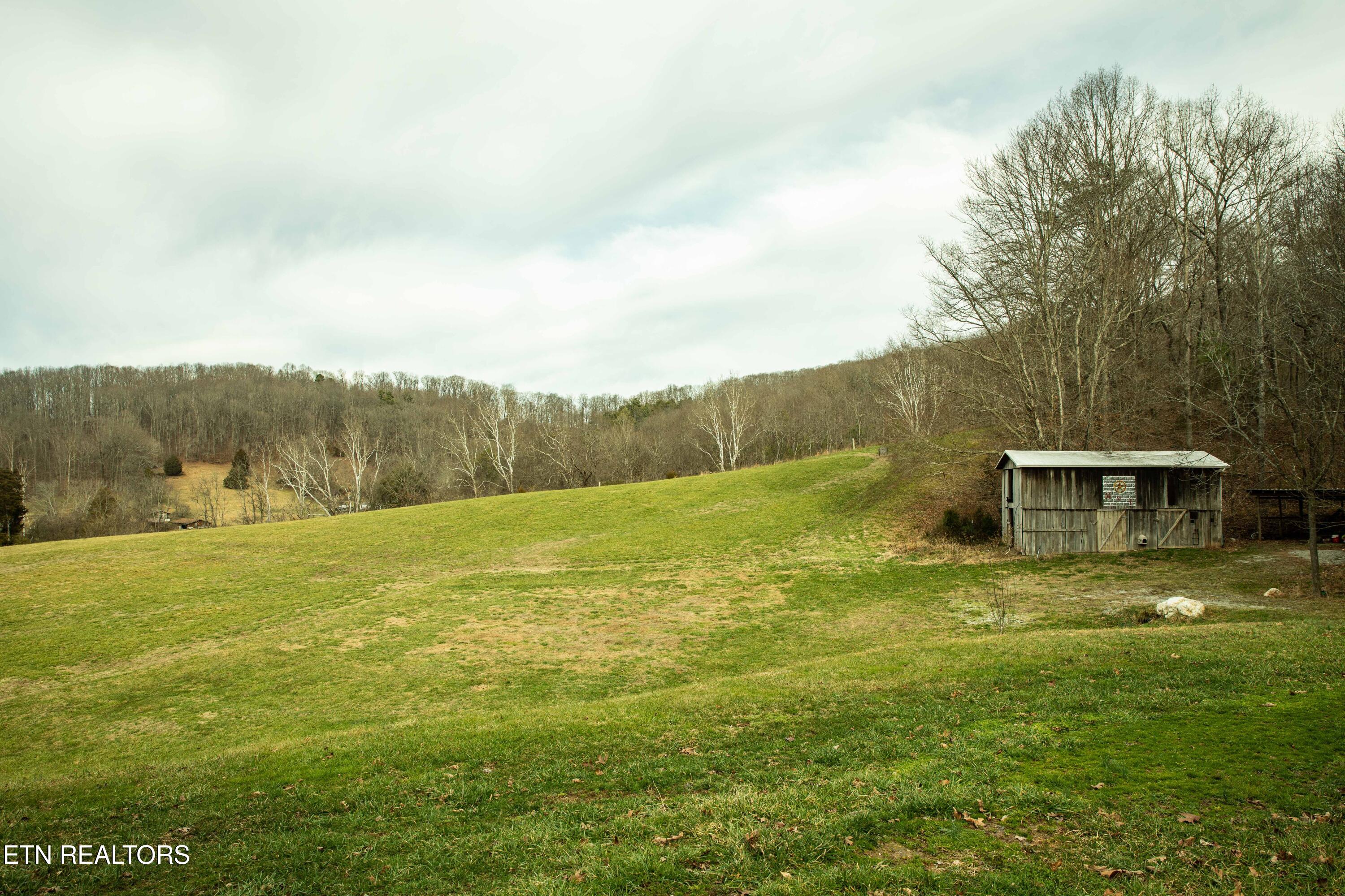 411 Cole Hollow Road New Tazewell TN 37825