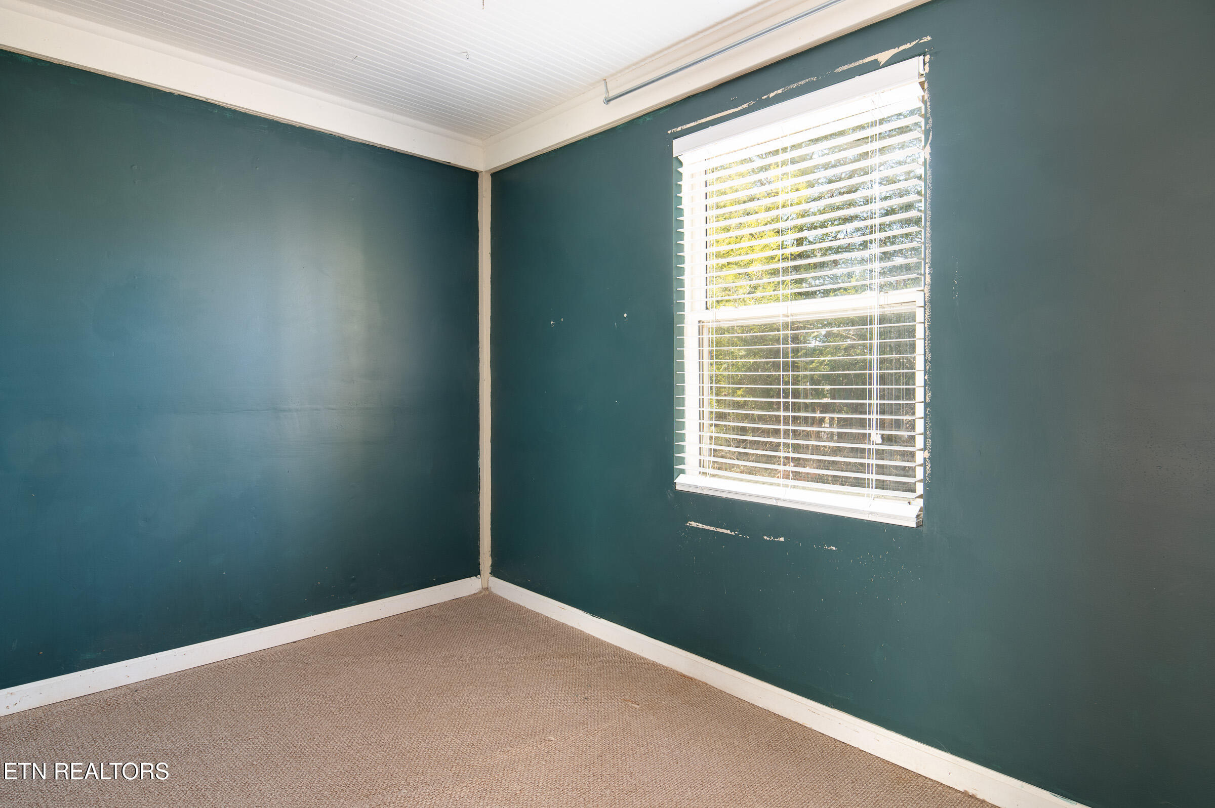 313 Colonial Drive Knoxville TN 37920
